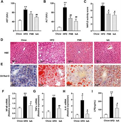 Ilexsaponin A1 Ameliorates Diet-Induced Nonalcoholic Fatty Liver Disease by Regulating Bile Acid Metabolism in Mice